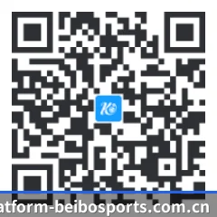 iPhone APP 二维码
