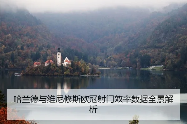 哈兰德与维尼修斯欧冠射门效率数据全景解析